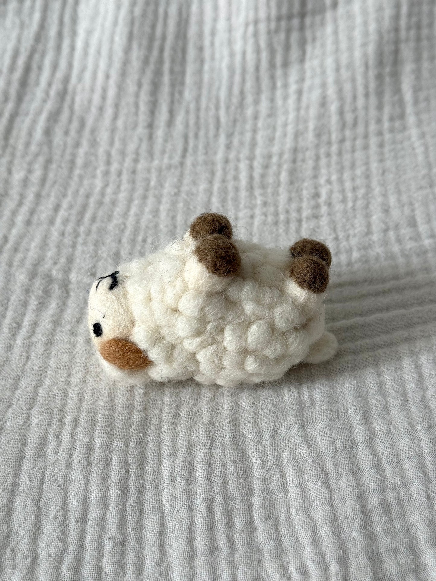 Poppy the Sheep