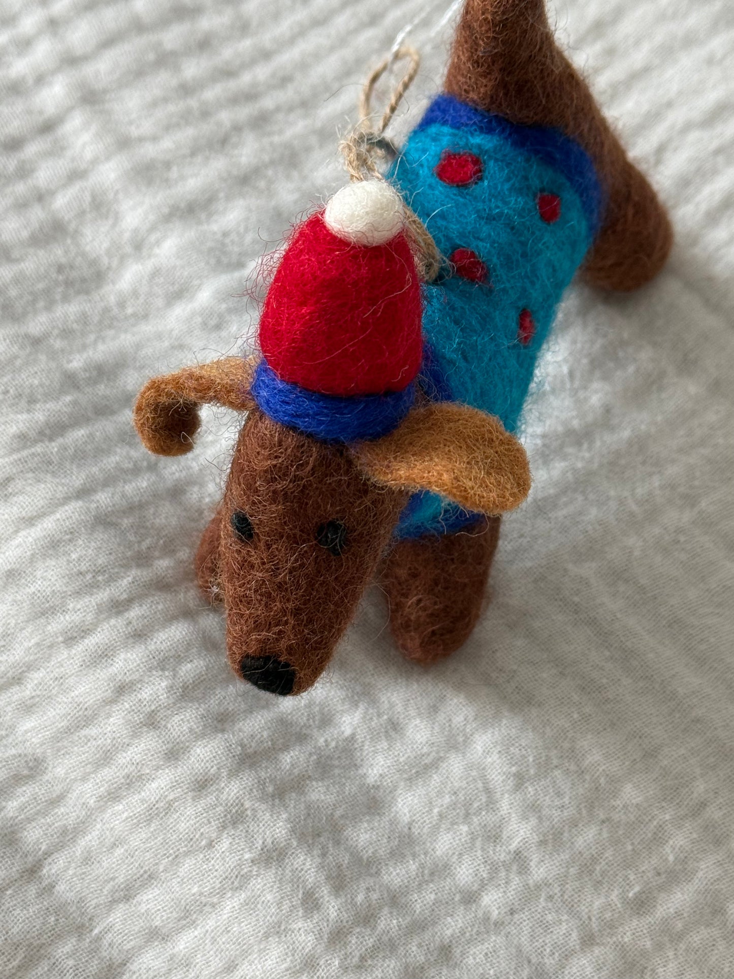 Perry the Daschund