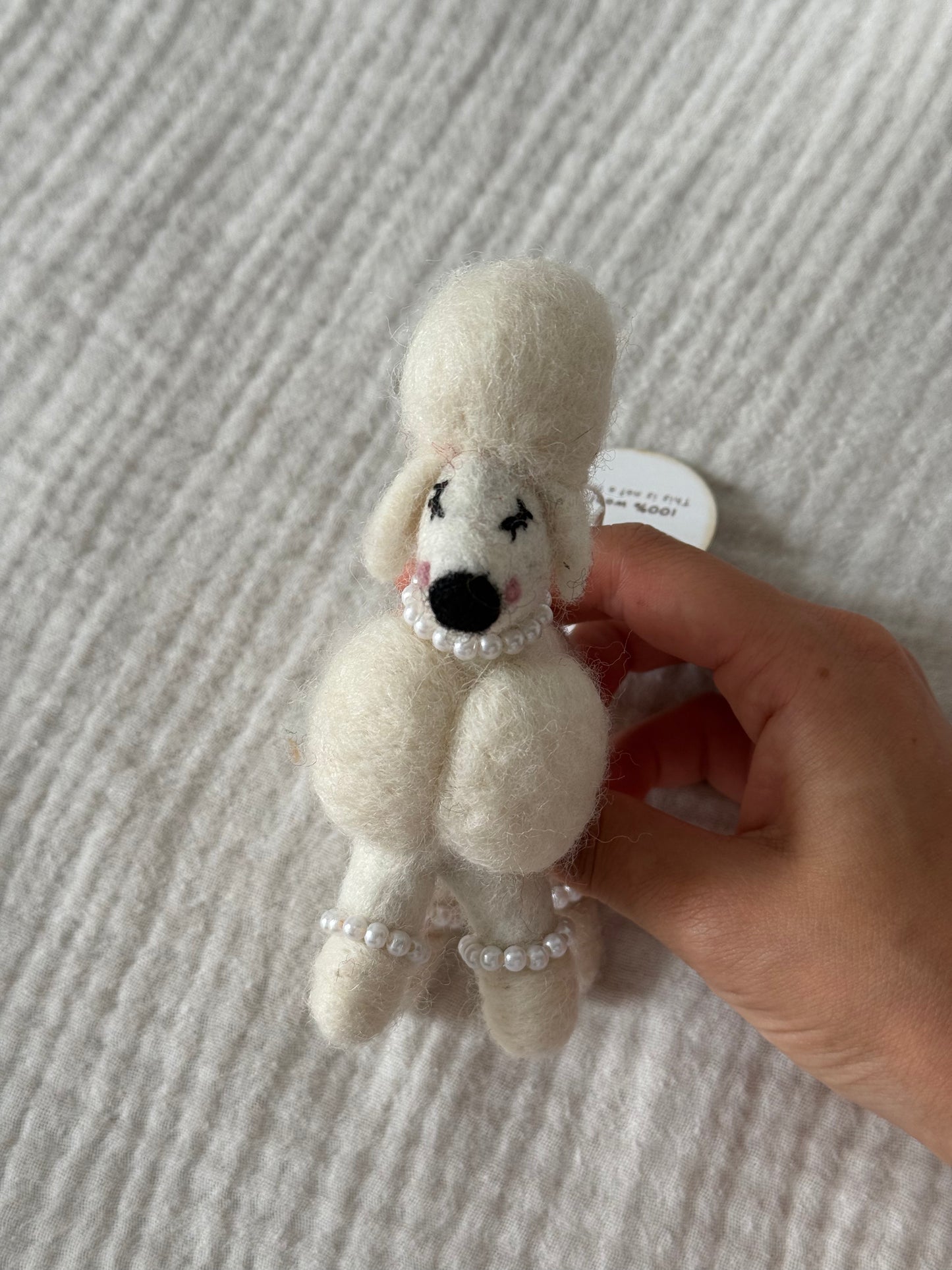Julie the Poodle