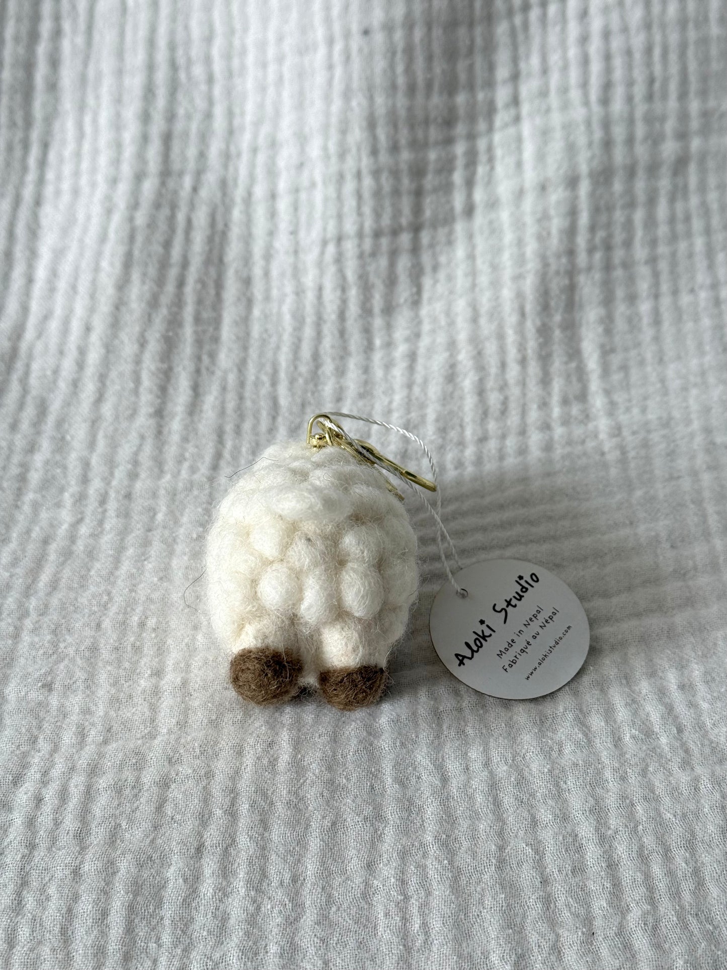 Poppy the Sheep
